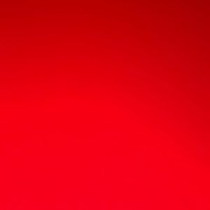 Meet your Posher, Gavin